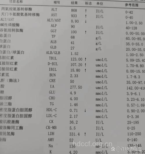 乙肝患者排除肝癌查甲胎蛋白
