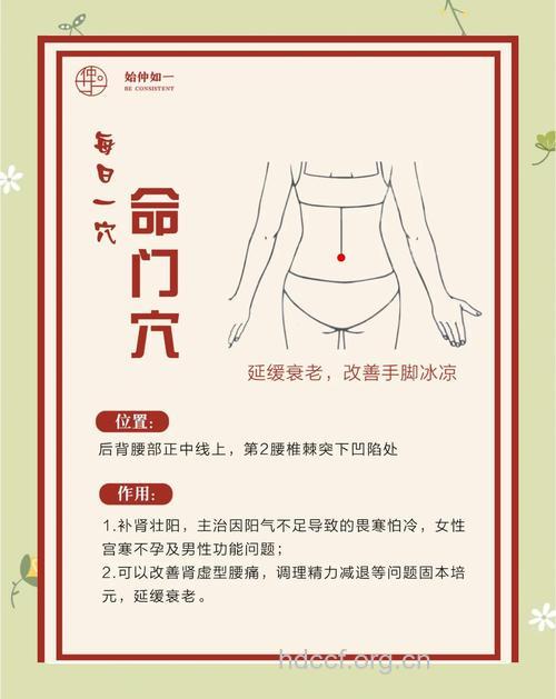 对抗衰老的艾灸穴位