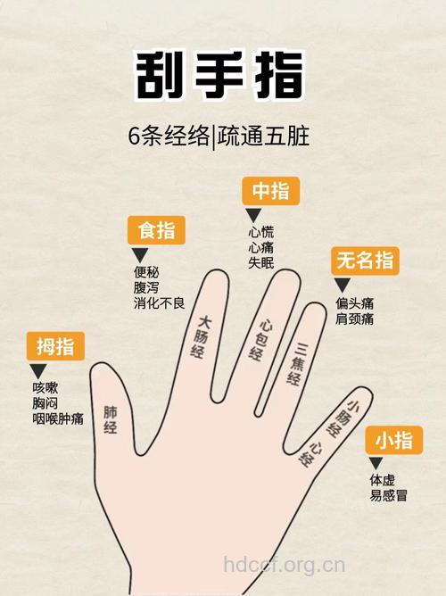 中医推拿手指可以强五脏防病治病