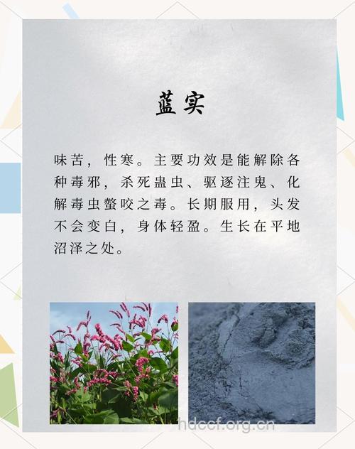 蓝实的功效与作用