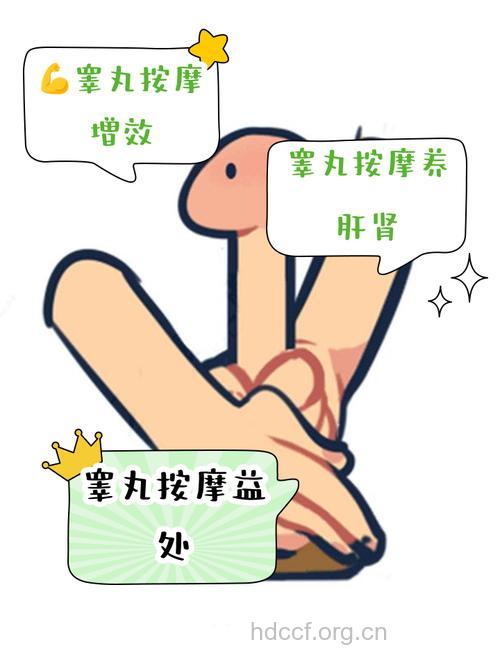 增强男性性能力的按摩方法