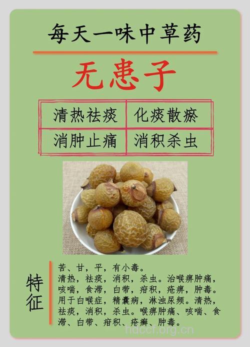 无患子叶的功效与作用