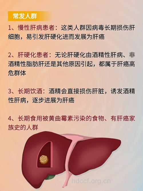 哪些人群易得肝癌?