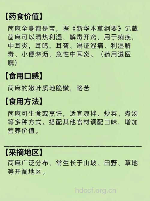 苘麻根的功效与作用