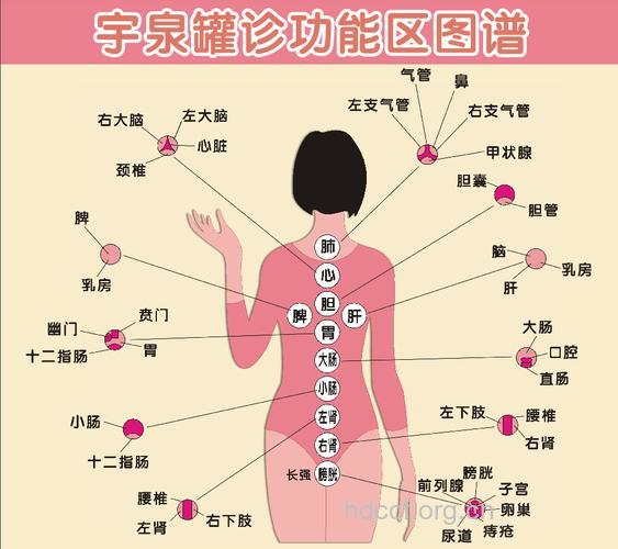 拔火罐的九大穴位
