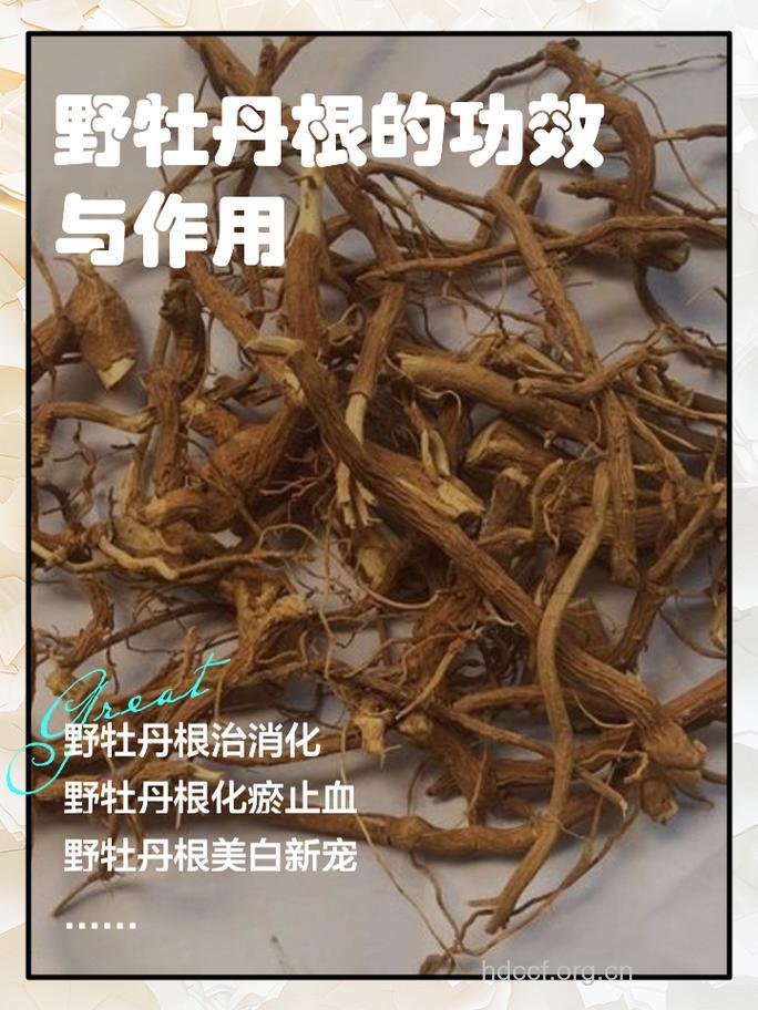 野牡丹根的功效与作用