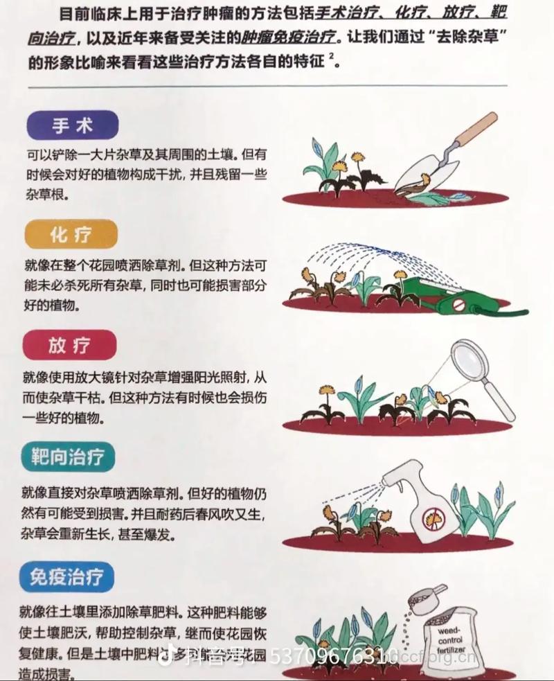 哪些癌症可以治愈?