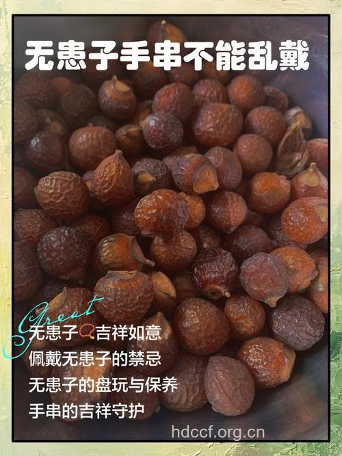 无漏子的功效与作用