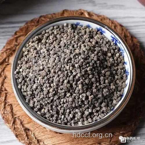 蜇砂的功效与作用
