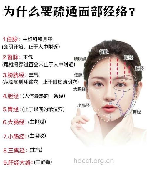 面部刮痧有哪些美容穴位