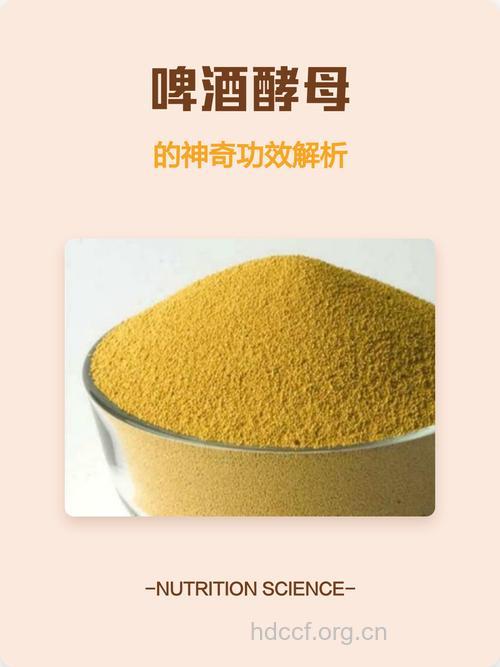 啤酒酵母的功效与作用