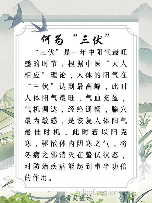 三伏贴的功效与作用