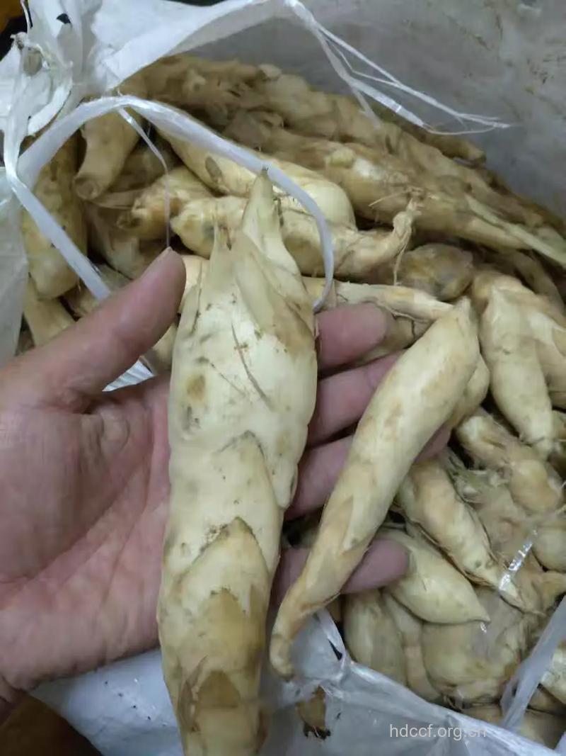 菱粉的功效与作用