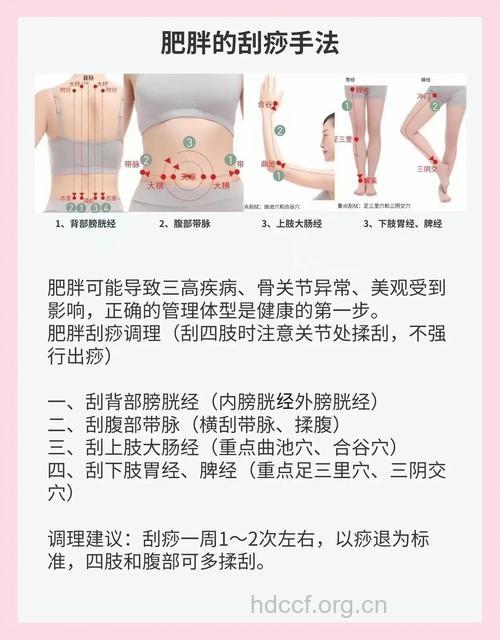 中医怎么刮痧治疗肥胖