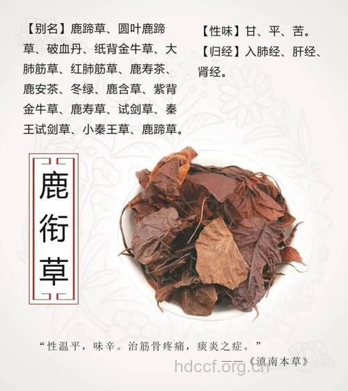 鹿胆的功效与作用