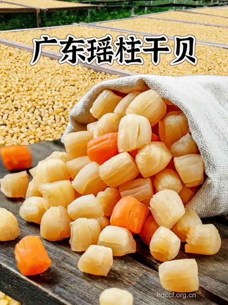 江珧柱的功效与作用