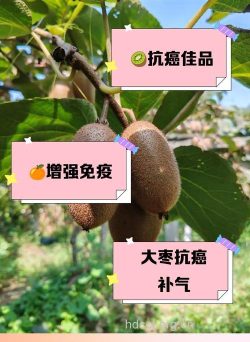 研究发现：新鲜蔬果是癌症克星