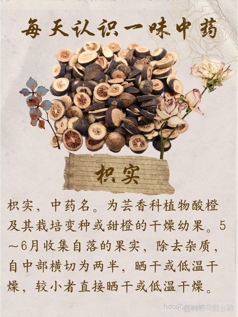 苘实的功效与作用
