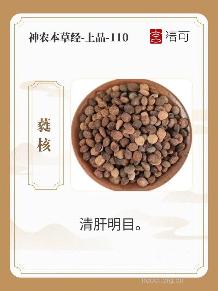 蕤核的功效与作用