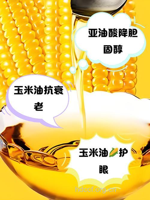 玉米油的功效与作用