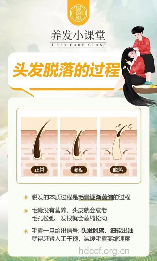 怎么从脱发的泥潭中拔出来