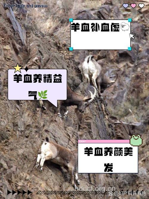 山羊血的功效与作用