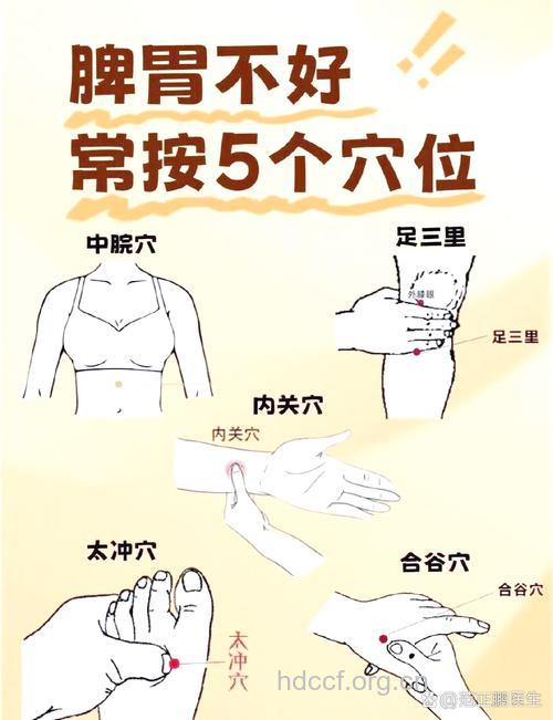 按摩4大穴位保健养生