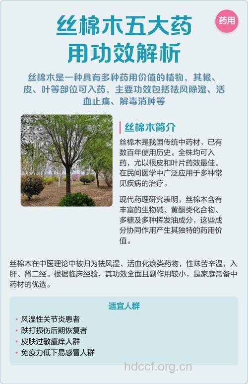 丝棉木的功效与作用