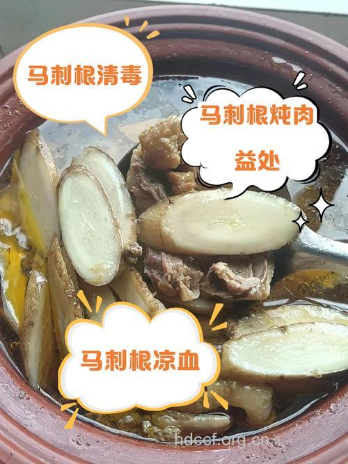野马肉的功效与作用