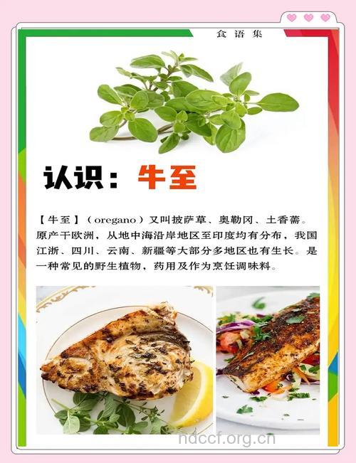 牛巴嘴的功效与作用