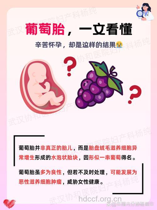 全面解析：何为葡萄胎