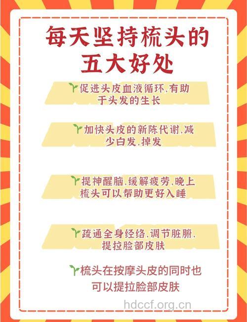 早晚梳发可以预防脱发