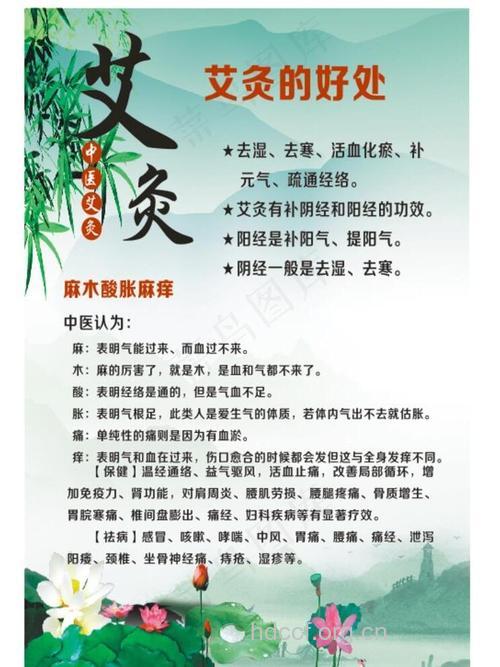 艾灸有哪些养生功能?