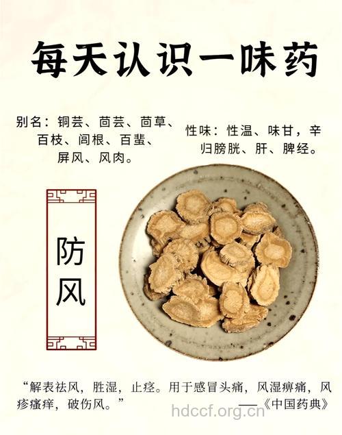 竹叶防风的功效与作用
