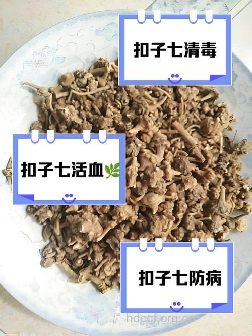 钮子七的功效与作用