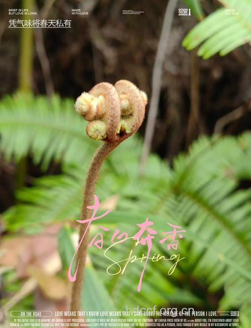 狼萁草的功效与作用