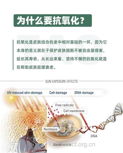 抗氧化剂清自由基抗癌有用吗