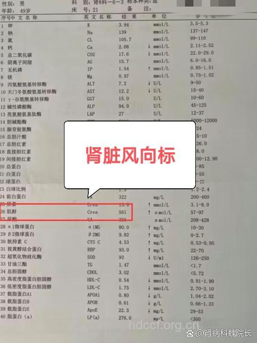 男性肾功能检查及体检项目