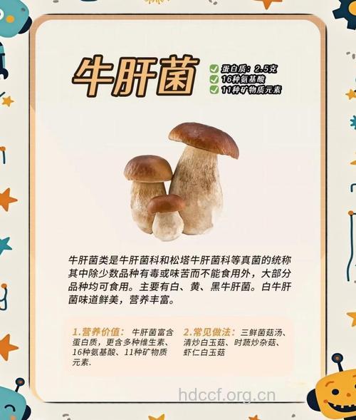 小牛肝菌的功效与作用
