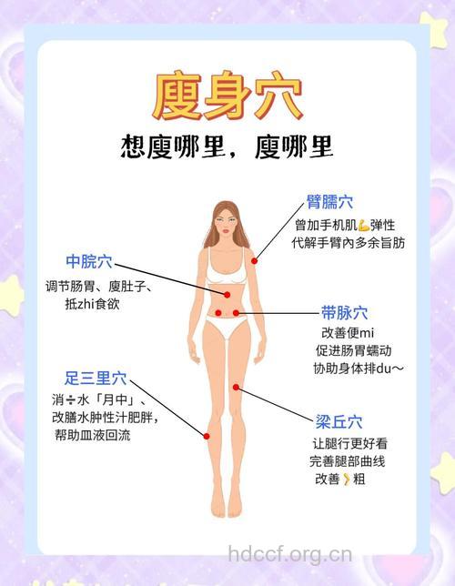 如何利用拔火罐给腿部减肥