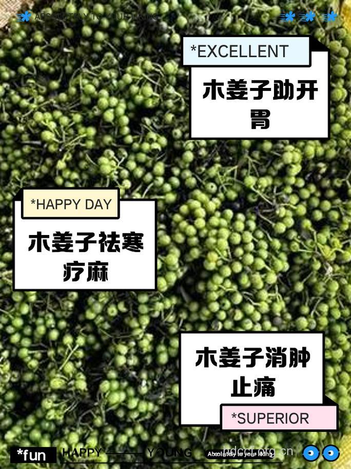 天目木姜子的功效与作用