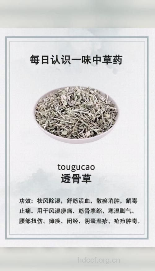 透骨草的功效与作用