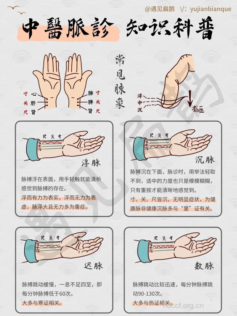 教你怎么去测身体状况
