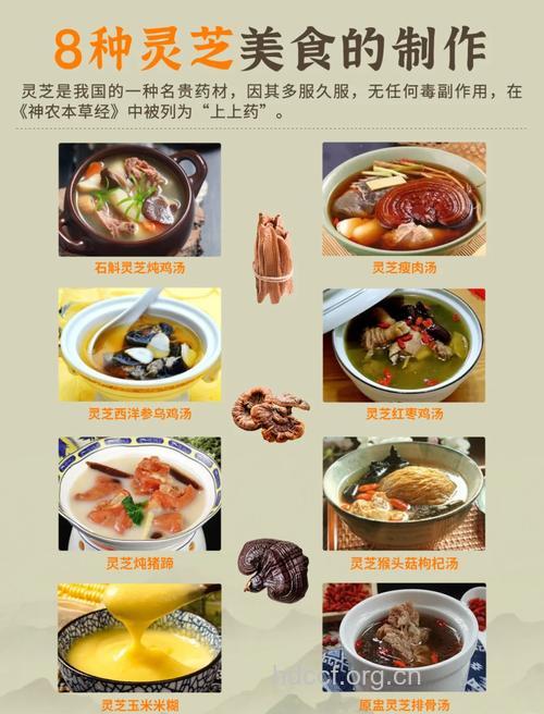 怎么食用灵芝效果更好