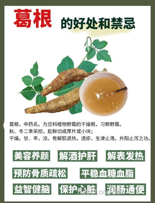 哪些中药可缓解酒后不适