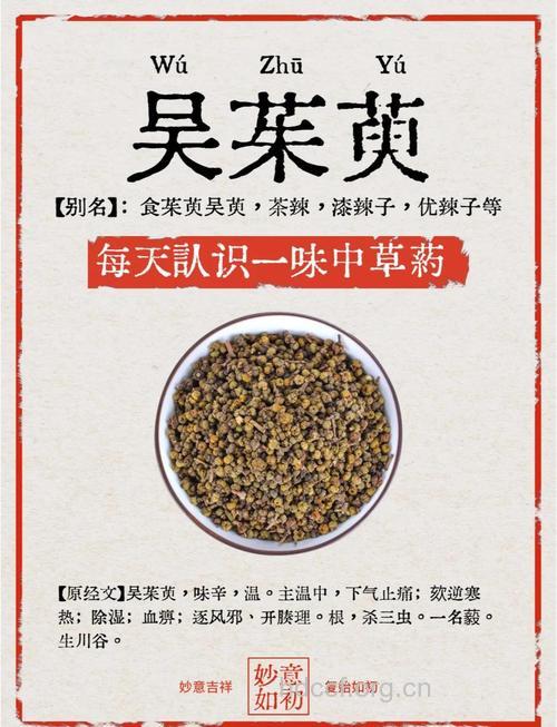 吴茱萸叶的功效与作用