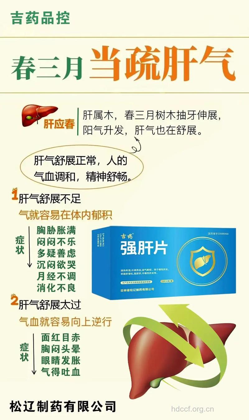 哪些中成药可养护肝病