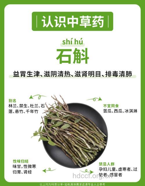 金石斛的功效与作用