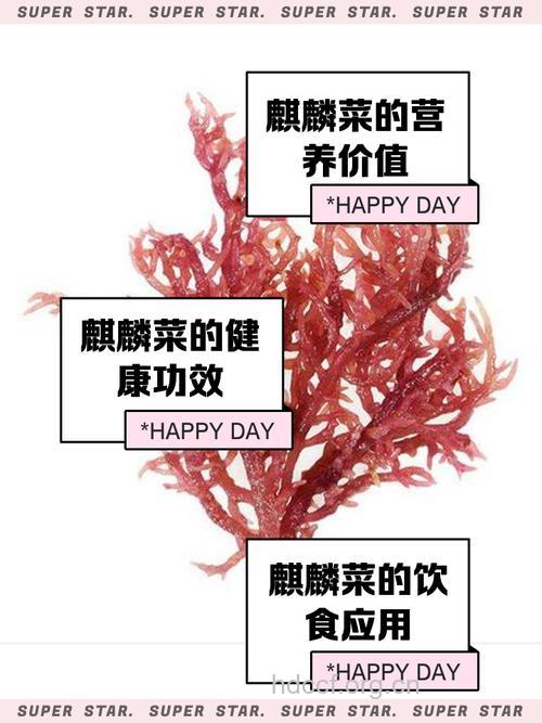 麒麟菜的功效与作用