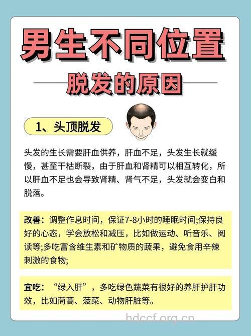 男性为什么出现脱发现象